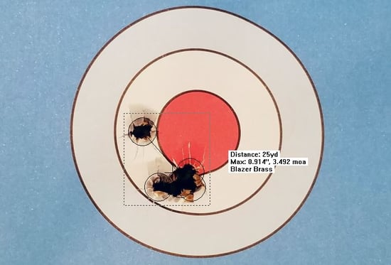 cz pistol target