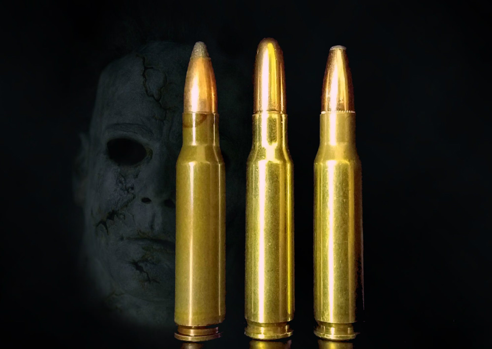 scary-308win-2.