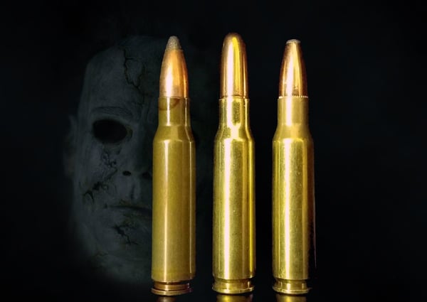 6.5 Creedmoor vs 243 Winchester Review & Comparison - Big Game Hunting Blog