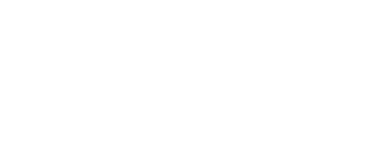 SW Logo white