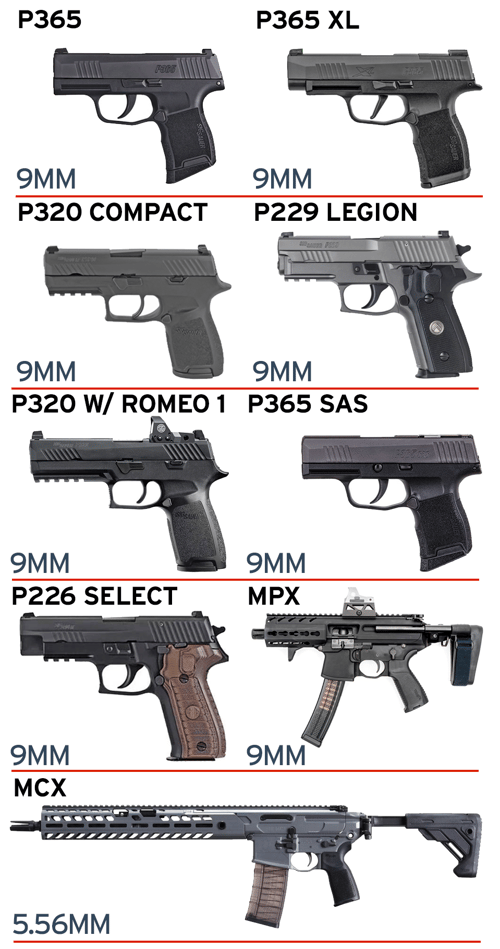 sig day rental guns 2021